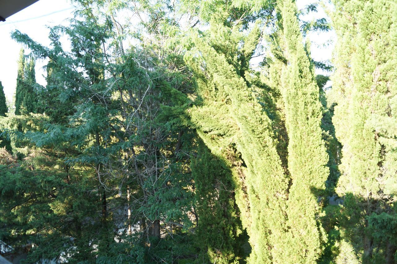 Pitsunda Hotel Zewnętrze zdjęcie
